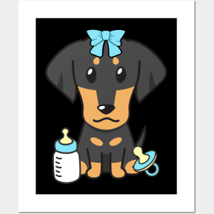 Cute dachshund is a baby Posters and Art